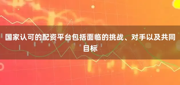 国家认可的配资平台包括面临的挑战、对手以及共同目标
